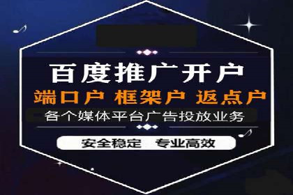 某科技公司的信息流广告投放策略与效果评估
